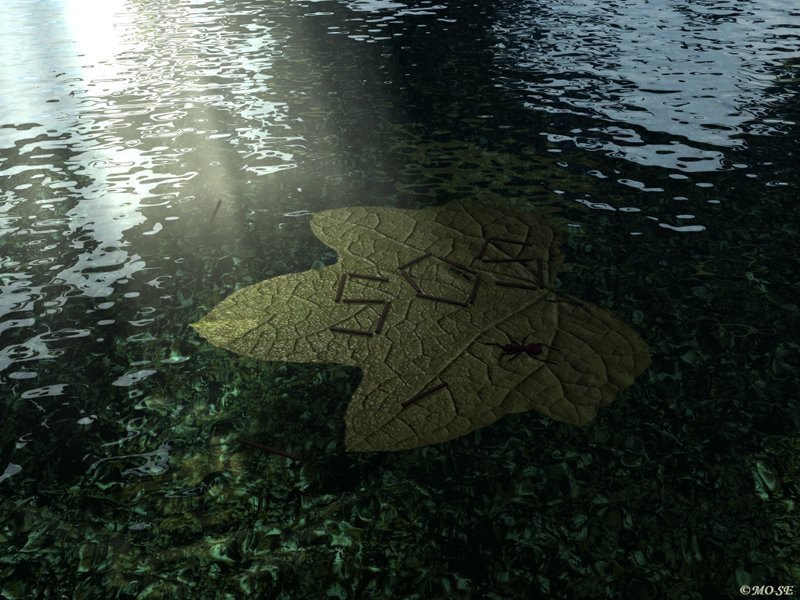 sos.jpg